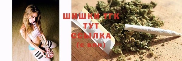 скорость Пестово