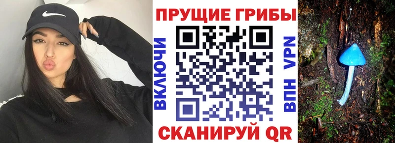 Галлюциногенные грибы мухоморы  Елец 