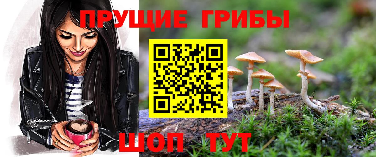 Псилоцибиновые грибы Cubensis  Псилоцибиновые грибы мицелий  Вход с VPN  Елец 