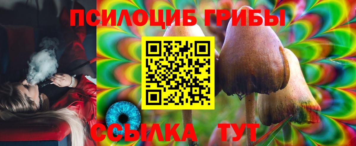 Псилоцибиновые грибы Psilocybine cubensis Елец